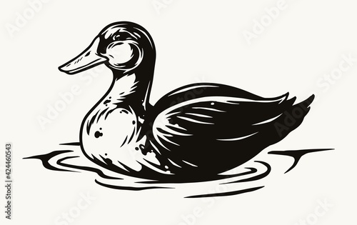 Fototapete Wild duck swimming in water concept