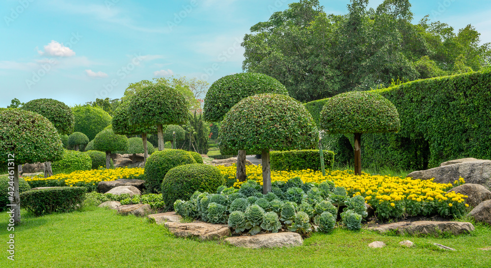 Topiary garden landscaped design with hedge round shape of bush,