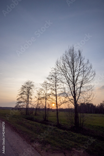 Morning glory sunrise with dark trees in silhouette against an orange hazy background. High quality photo