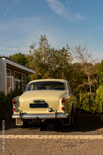 Back of an classic car parked between a hedge in a sunny front yard.