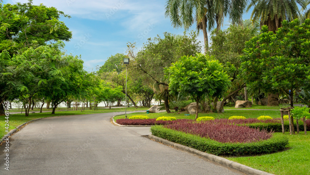 Jogging track in garden, greenery trees, flower shrub and bush, black asfalt concrete walkway Jogging track in garden, greenery trees, flower shrub and bush, black asfalt concrete walkway