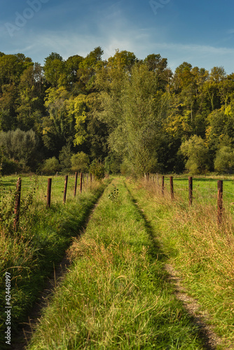 Grassy path with fence in green lush rural landscape on a sunny summer s day.