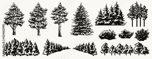 Nature landscape elements collection