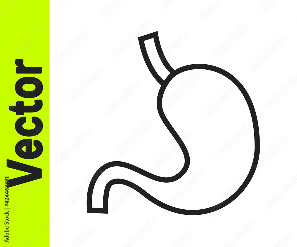 Fototapeta premium Black line Human stomach icon isolated on white background. Vector
