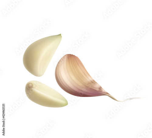 Realistic Garlic Cloves Composition