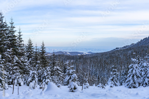 Snowy winter panoramic view in Austrian Alps
