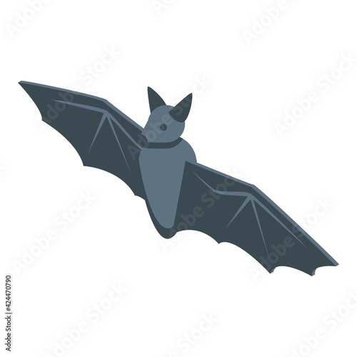 Scary bat icon. Isometric of Scary bat vector icon for web design isolated on white background