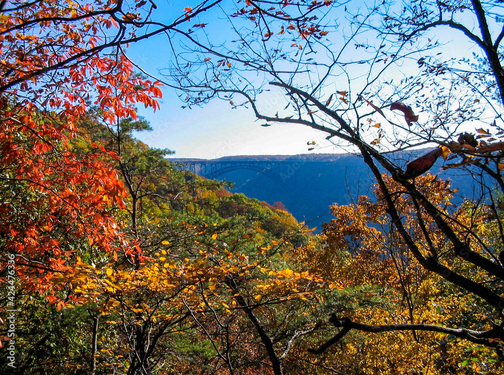 Looking through the fall colored trees at the New River Gorge Bridge in the Autumn