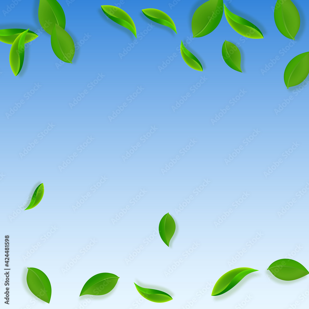 Falling green leaves. Fresh tea neat leaves flying Falling green leaves. Fresh tea neat leaves flying