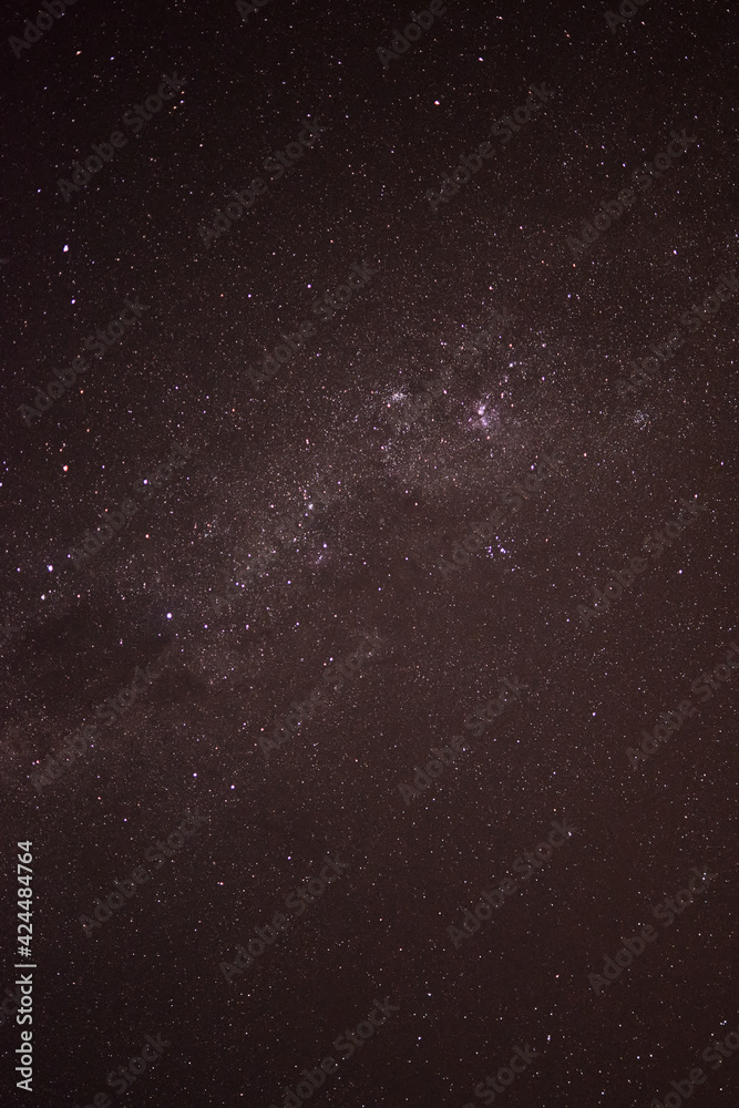 Obraz premium Alerce Nocturno