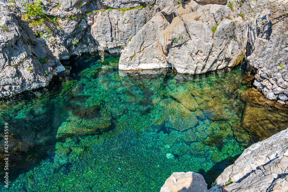 Beautiful view of Water lilies and Kırkgöz springs, which takes its name from 40 water springs coming from under the Taurus Mountains. Beautiful view of Water lilies and Kırkgöz springs, which takes its name from 40 water springs coming from under the Taurus Mountains.