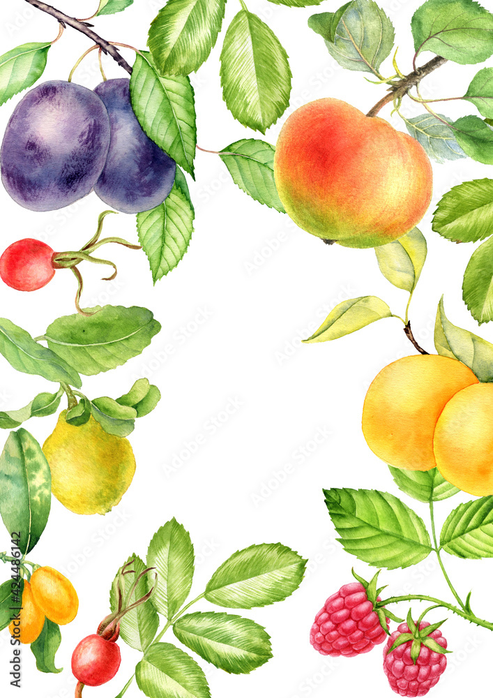 background with watercolor drawing fruit and berries