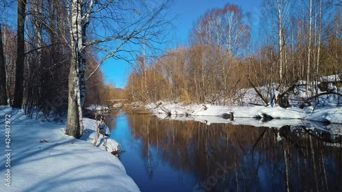 Stormy forest river, swiftly carries sonorous spring waters. Branches stream.