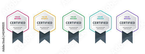Logo badge for certificate technical, analyst, internet, data, conference, etc. Digital certified logo verified achievements company or corporate with hexagon ribbon design. Vector illustration.