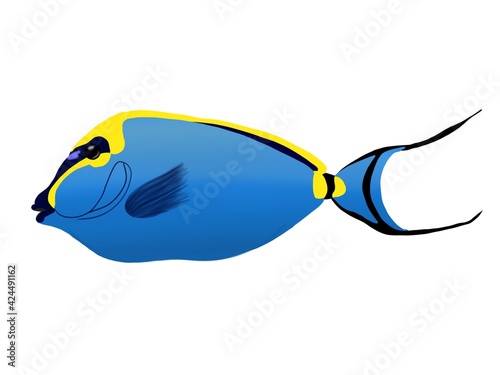 Cartoon realistic fish clip art