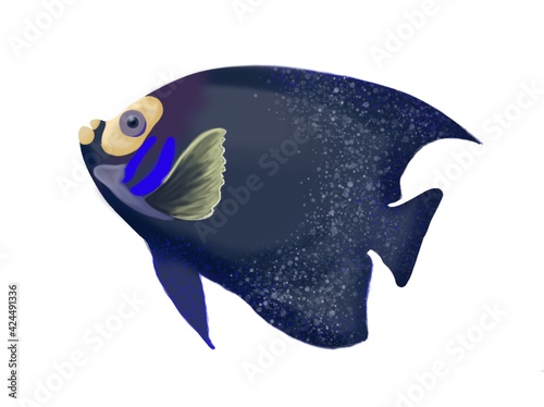 Cartoon realistic fish clip art