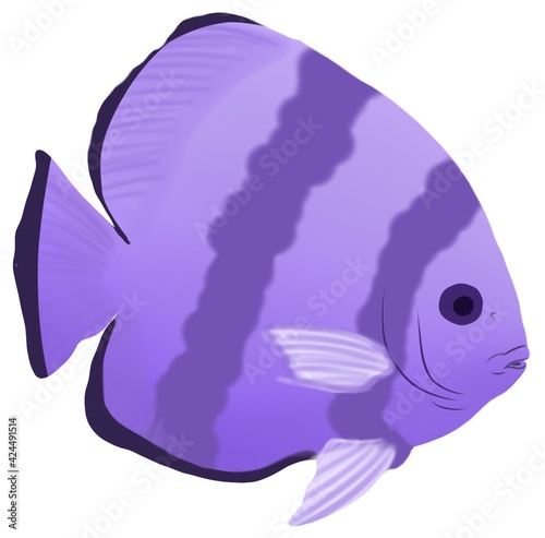 Cartoon realistic fish clip art