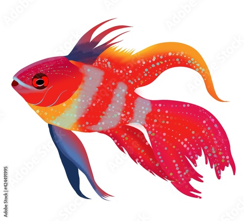 Cartoon realistic fish clip art