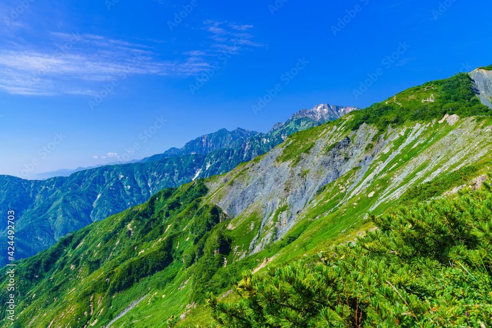 Naklejka premium 白馬 八方尾根からの北アルプス