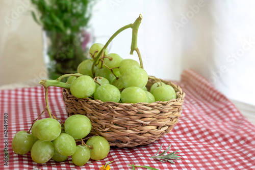 Wallpaper Mural Green grapes put in handmade basket on white and red table cloth. Torontodigital.ca
