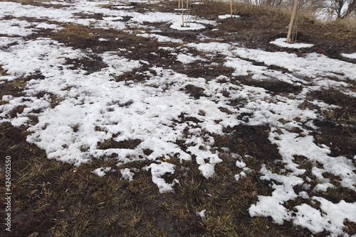 Countryside in early spring. Large plowed land or field with melting snow and thawed patches. Thawed patches. Nature wakes up.