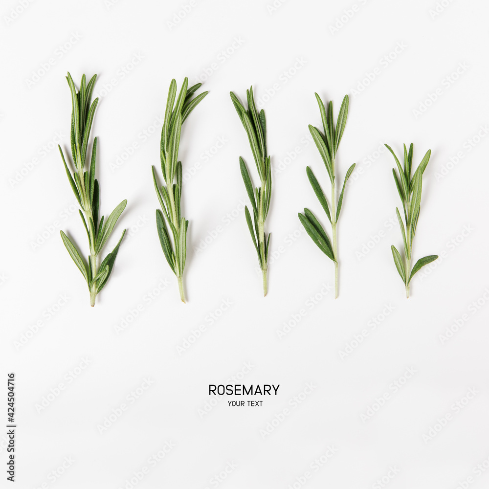 bunch of fresh green rosemary on white background. flat lay with copy space - obrazy, fototapety, plakaty 