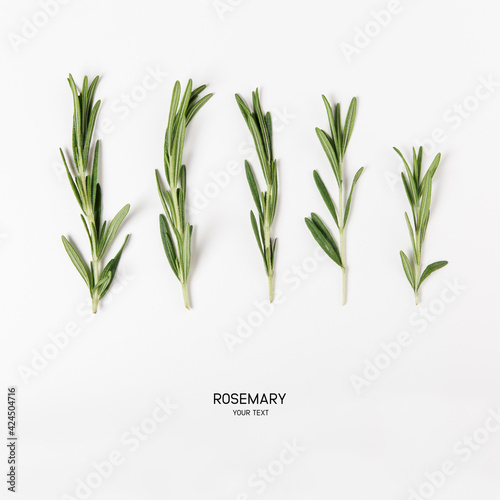 bunch of fresh green rosemary on white background. flat lay with copy space