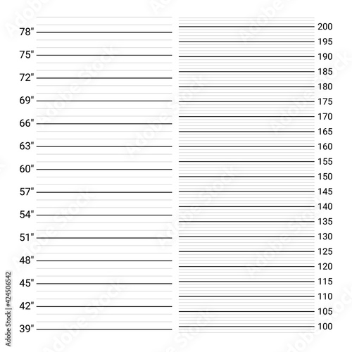 Mugshot background. Police wall with height measuring scale