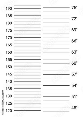 Mugshot background. Police lineup wall with both metric and imperial units scales.