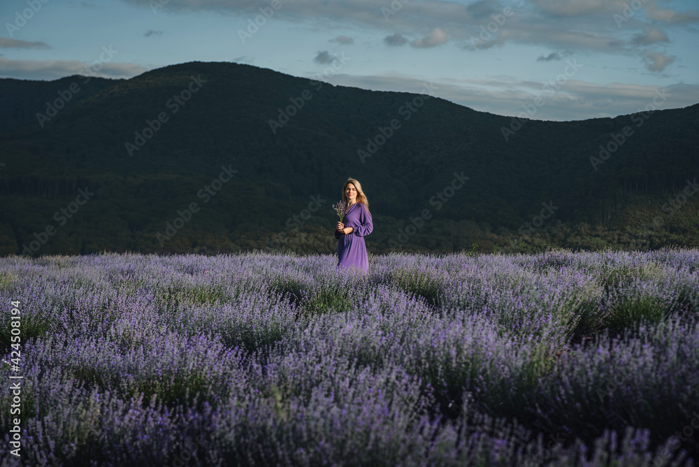 a blonde woman stands in a purple dress in the mountains on a lavender field in the rays of sunlight a blonde woman stands in a purple dress in the mountains on a lavender field in the rays of sunlight