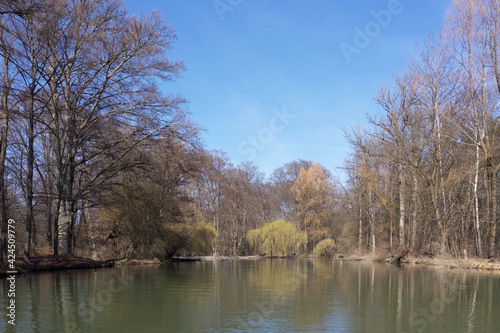 Weiher im englischen Garten