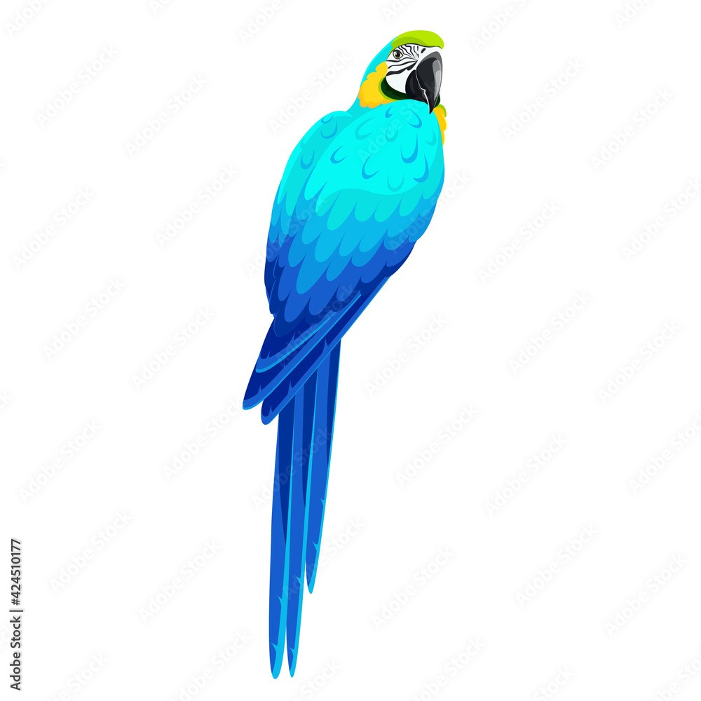 Blue-and-yellow macaw parrot - Ara ararauna. Vector illustration, isolated, transparent background.