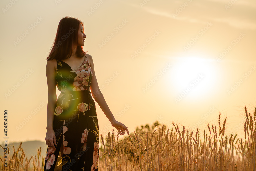 Naklejka premium portrait of beautiful asian woman in barley wheat field at sunset