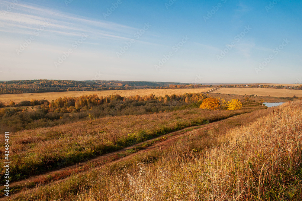 autumn landscape. view from the hill to the field, trees with yellow, red foliage autumn landscape. view from the hill to the field, trees with yellow, red foliage