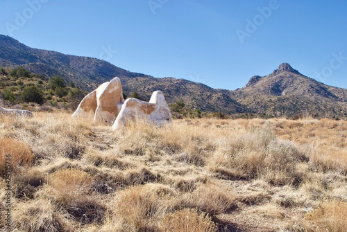 Adobe ruins and Bowie Peak. Fort Bowie National Historical Site in Arizona. Fort Bowie was a 19th-century outpost of the United States Army.   photo