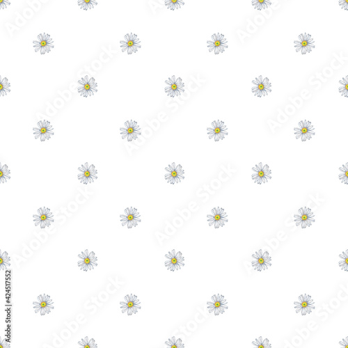 Spring, summer floral seamless pattern of small white garden daisy flowers in diagonals. Chamomile fabric design. Wedding decor. Watercolor hand painted isolated elements on white background.