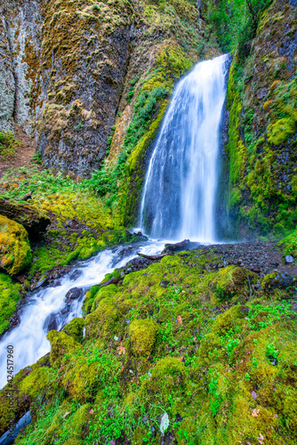 Multnomah Falls Waterfall in Summer  Columbia River Gorge  Oregon  Pacific Northwest