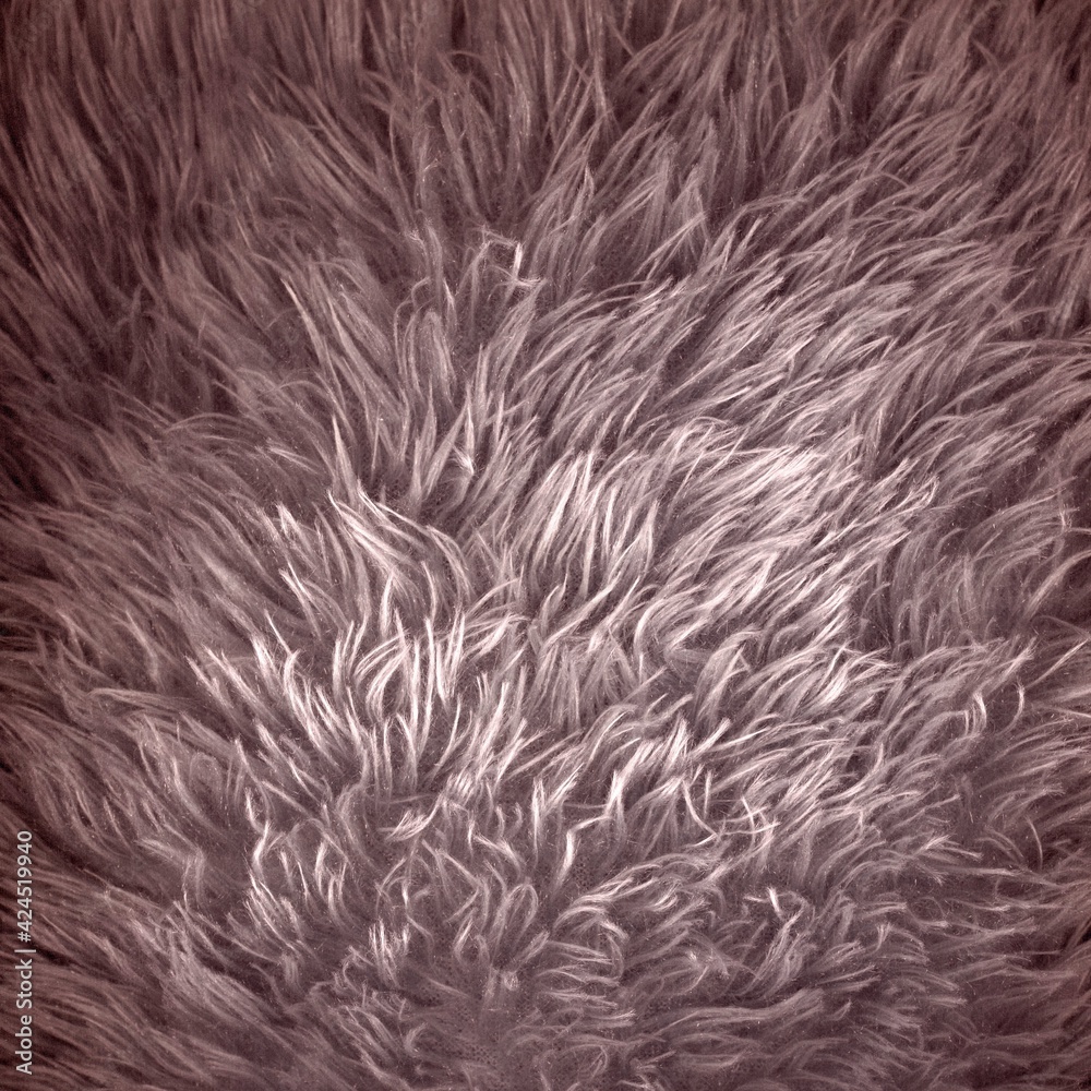 Azure red furry texture backdrop close up. Texture of wool skin ...