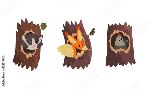 Cute Animals and Birds Living in Tree Hollows Set, Raccoon, Squirrel, Bird Peeking Out of Hollow Cartoon Vector Illustration