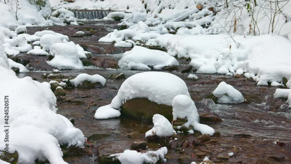 A mountain cold little stream flows among stones and trees in the snow-capped mountains of the Carpathians A mountain cold little stream flows among stones and trees in the snow-capped mountains of the Carpathians