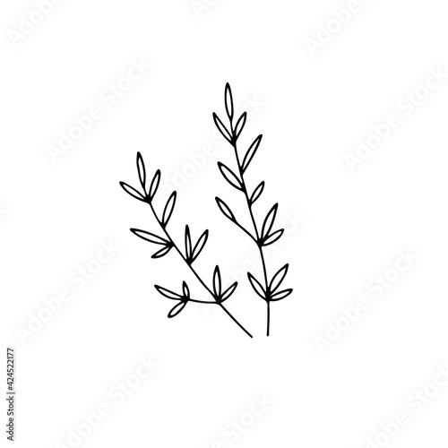 Fototapeta Naklejka Na Ścianę i Meble -  Hand drawn floral icon, vector minimalistic graphics. Branches with leaves.
