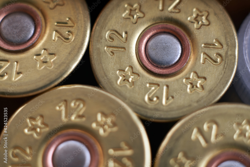 Close-up of 12 gauge shotgun cartridges used for hunting. Close-up of 12 gauge shotgun cartridges used for hunting.