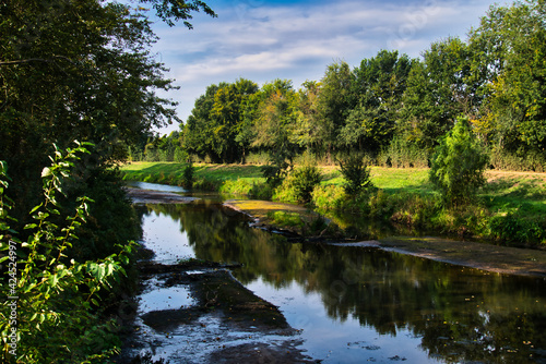 pond in park