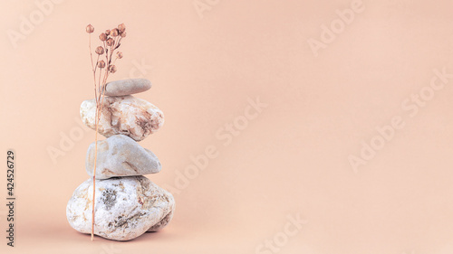 Canvas Print Dry flax plant and tower of stones  on a pastel pale pink background
