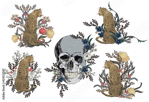 Vector drawing graphics, skull, leopard and flowers.
