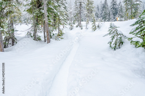 Fragment of mountain snowshoe trail in Whistler, Vancouver, Canada.