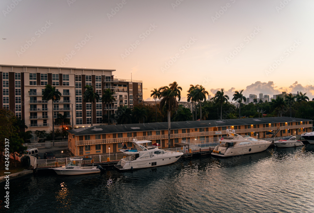 view of the port river Miami Florida boats palms buildings 