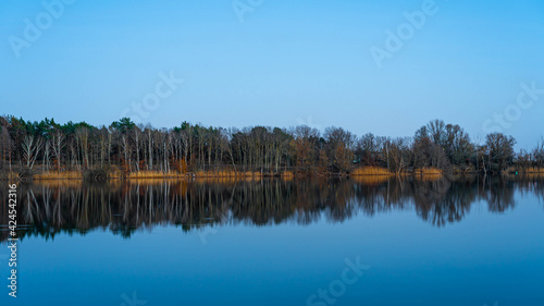 Evening landscape. Quiet and calm lake reflecting the forest and sky © Andrejs