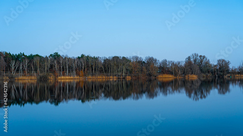 Evening landscape. Quiet and calm lake reflecting the forest and sky