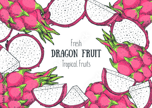 Dragon fruit design template. Hand drawn vector illustration. Organic food. Pitaya fruit. Vintage design. Colorful